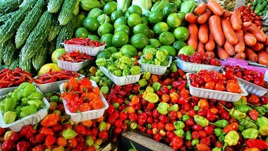 Marché de Meschers-sur-Gironde