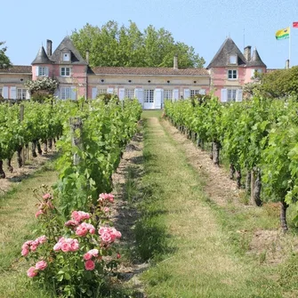 Visite du domaine viticole – Château Loudenne