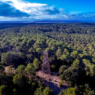 Sentier du Gardour – Forêt de la Coubre