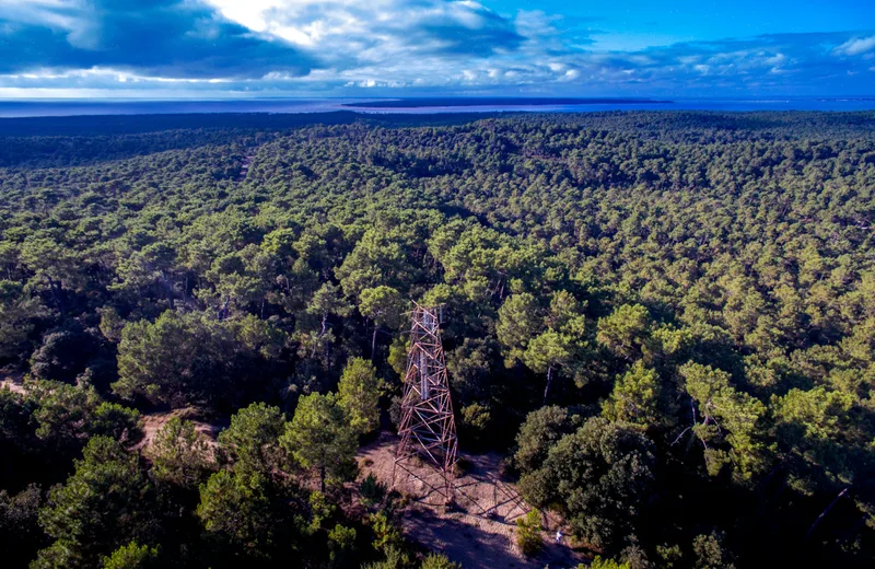 Sentier du Gardour – Forêt de la Coubre