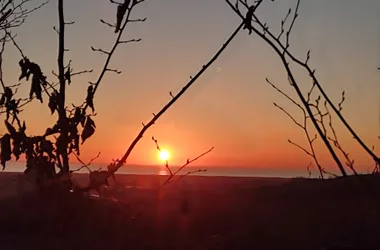 Les Palissières – Salaberria Oneka