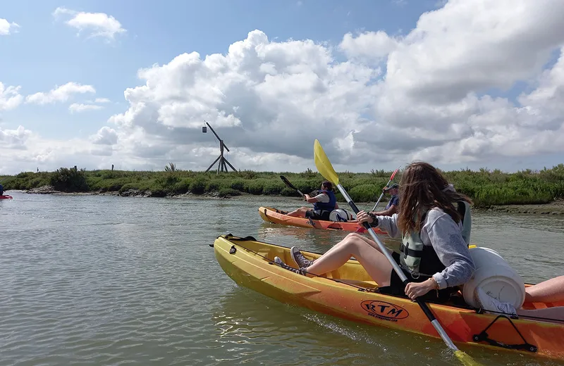 Kayak & Nature en Seudre