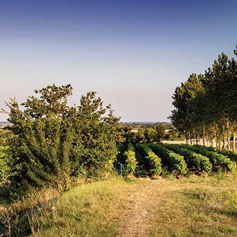 Sentier Détours N°1 – Chaillevette