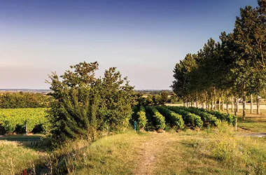 Sentier Détours N°1 – Chaillevette