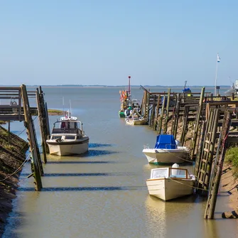 Boucle VTC – La Boucle de Meschers-sur-Gironde