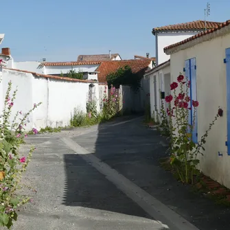 En Quête d’Estuaires – La Tremblade