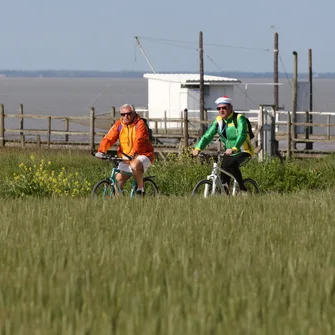 Boucle VTC – La Boucle de Meschers-sur-Gironde