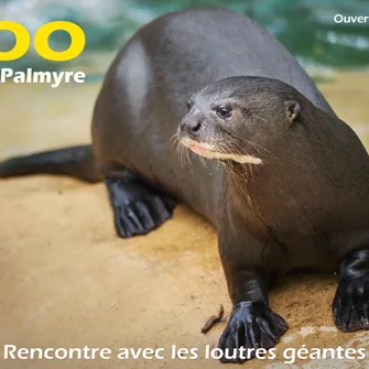 Zoo de La Palmyre