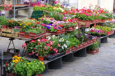 Marché aux fleurs