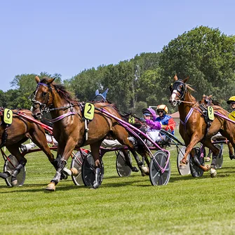 Association des courses Royan Atlantique – Hippodrome la Palmyre