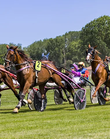 Association des courses Royan Atlantique – Hippodrome la Palmyre