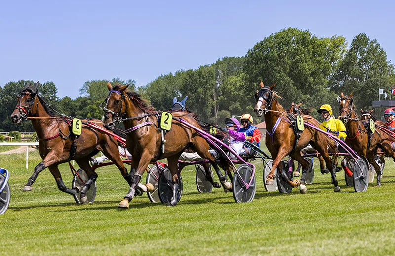 Association des courses Royan Atlantique – Hippodrome la Palmyre