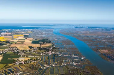 Point de vue – Le Port de Mornac-sur-Seudre