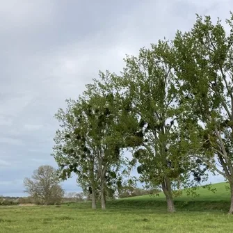 Sentier Détours N°2 – Breuillet