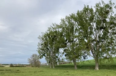 Sentier Détours N°2 – Breuillet