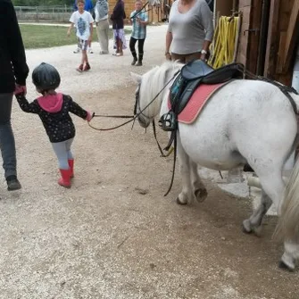 Poney Club “Le Petit Carrousel”