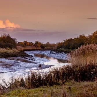 Sentier Détours N°2 – Saujon