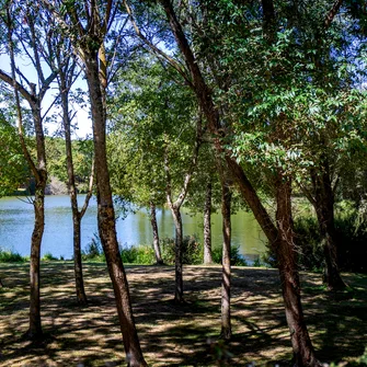 Parcours d’orientation jaune – Le Lac de Saint-Palais