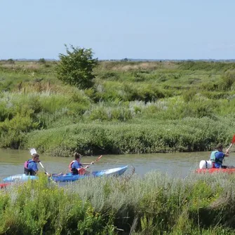 Kayak & Nature en Seudre