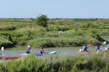 Kayak & Nature en Seudre