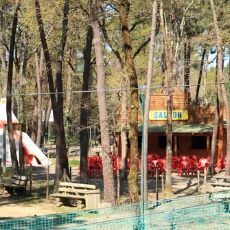 Parc Indian Forest