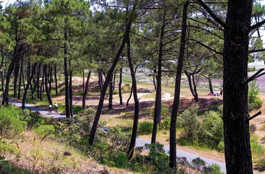 Sentier du Requin – Forêt de la Coubre