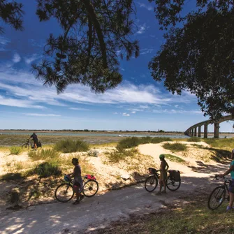 Escapade à vélo sur la Seudre : rencontre avec un terroir