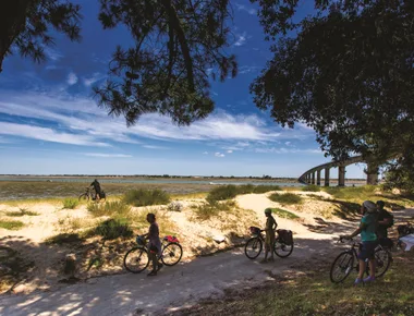 Escapade à vélo sur la Seudre : rencontre avec un terroir