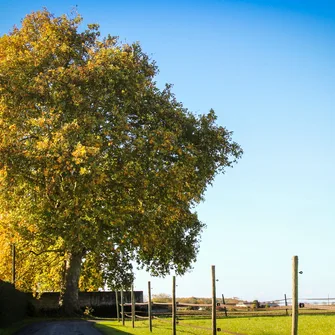 Sentier Détours N°2 – Cozes