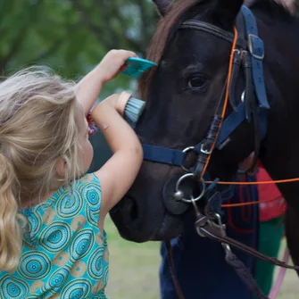 Le Petit Trot Cormillon