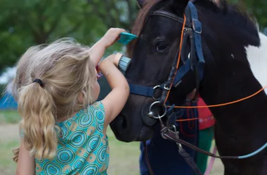 Le Petit Trot Cormillon