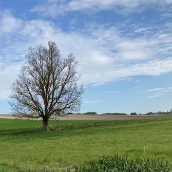 Sentier Détours N°2 – Breuillet