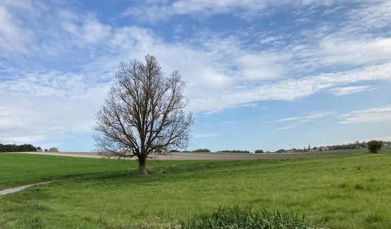 Sentier Détours N°2 – Breuillet