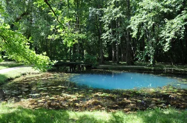 Les Fontaines Bleues – Parc et Jardin du Château de Beaulon