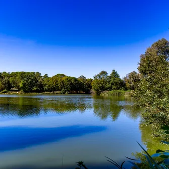 Parcours d’orientation bleu – Le Lac de Saint-Palais