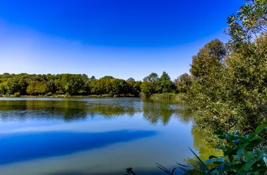 Parcours d’orientation bleu – Le Lac de Saint-Palais
