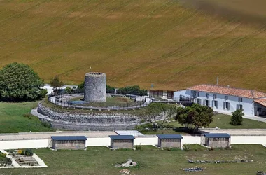 Musée et Site Gallo-Romains du Fâ