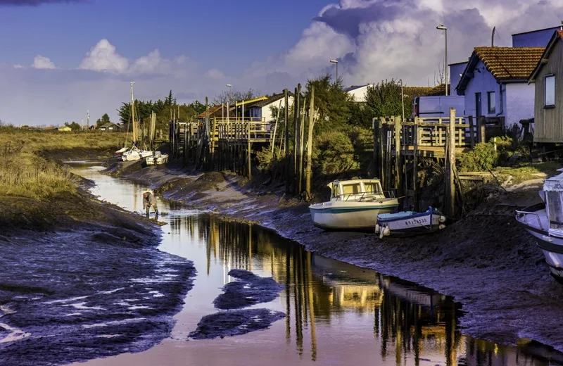 Point de vue – Le Port de Mornac-sur-Seudre