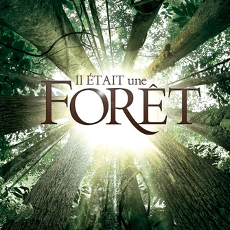 Créa Cinéma Le Relais : Il était une forêt – Journée de l’Arbre