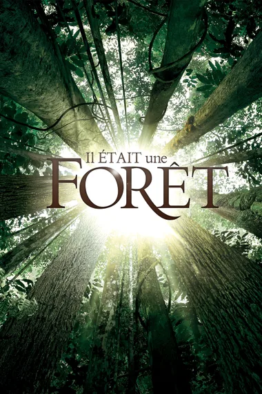 Créa Cinéma Le Relais : Il était une forêt – Journée de l’Arbre