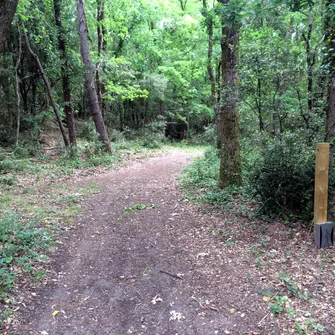 Sentier de la Loge – Forêt de la Coubre