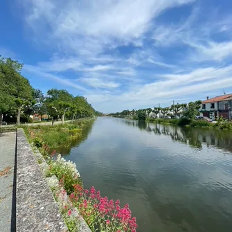 Visite de Saujon, au rythme de la Seudre