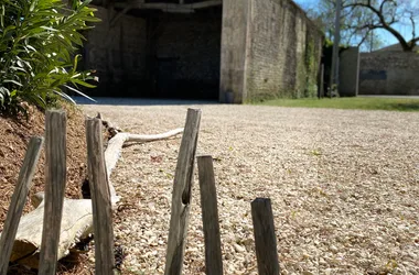 Sérénity, entre Terre et Océan