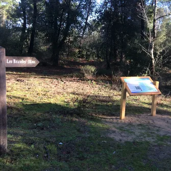 Sentier des Brandes – Forêt de la Coubre