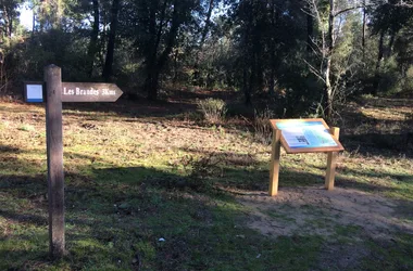 Sentier des Brandes – Forêt de la Coubre