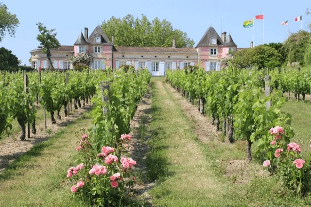 Croisières Loudenne II – Visite du château et dégustation