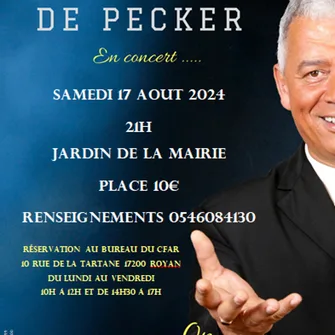 Concert – Michel Depecker