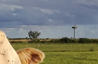 Camping insolite à la Ferme La Gravelle