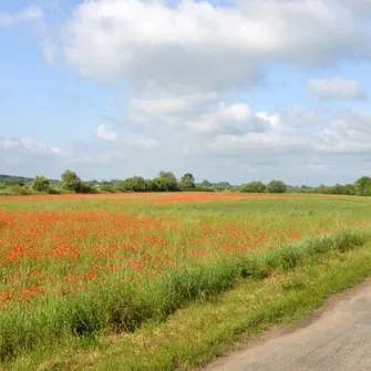 Sentier Détours N°4 – Saujon