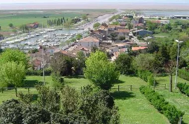 Point de vue – Le Port de Mortagne-sur-Gironde